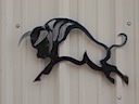 24" X 16" Buffalo