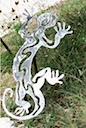 36" long Gecko